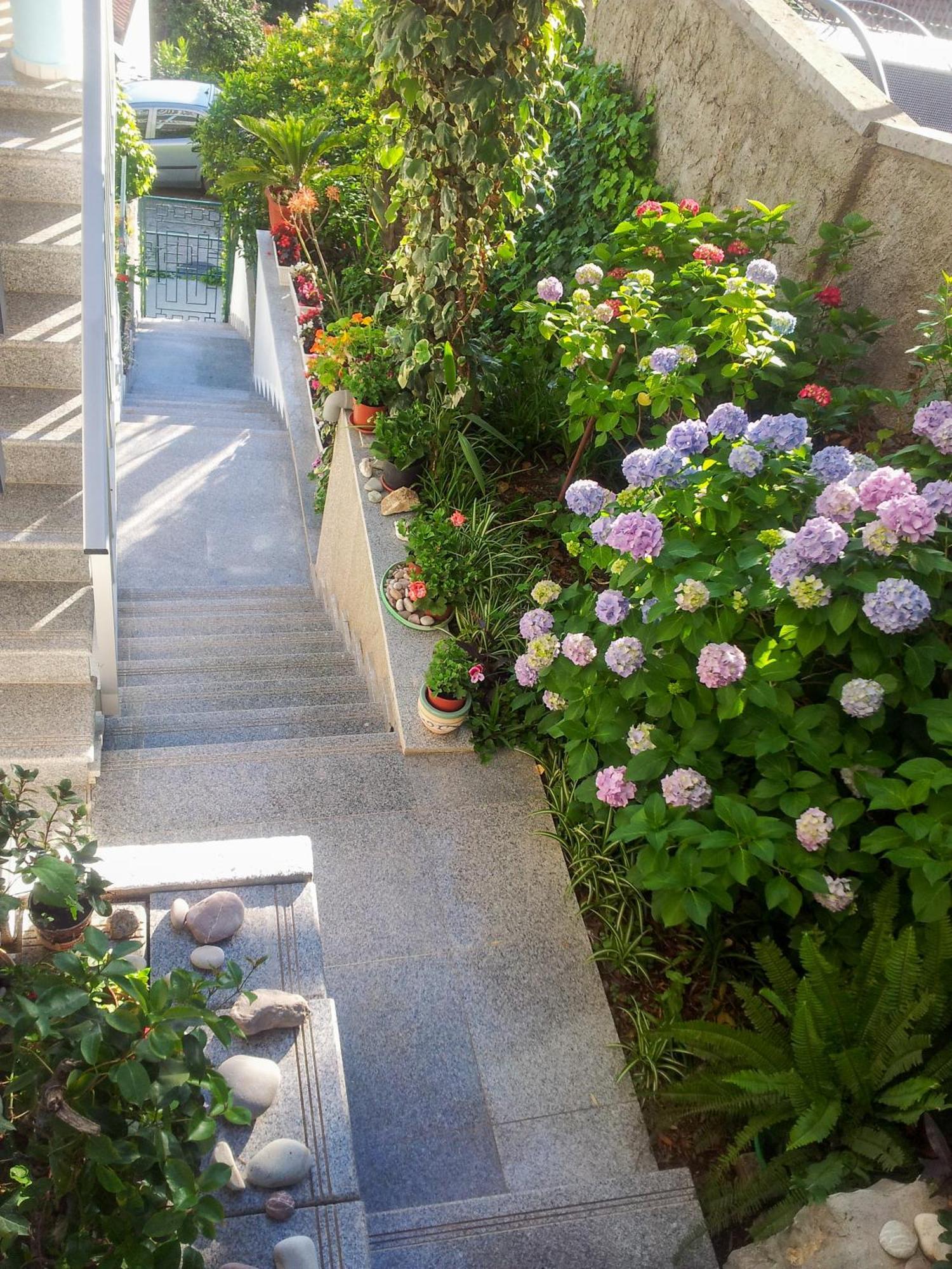Panorama Apartments Budva Bagian luar foto